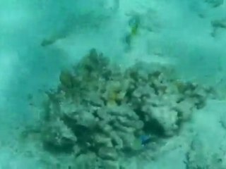 plongee libre ile maurice