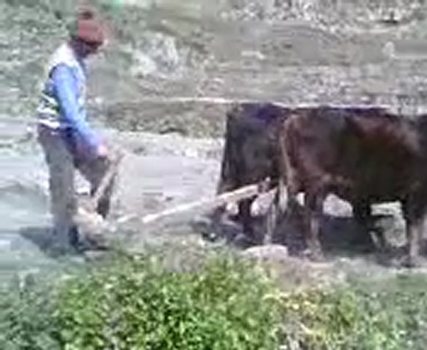 MOV0058A