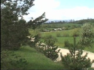 salına salına sudan gelirsin