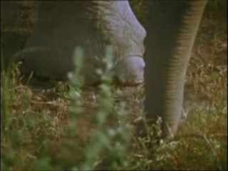 Υπερκινητικός Δάσκαλος-Γεννημένοι πρωταθλητές