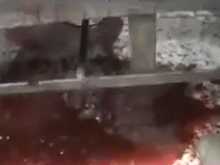 فري برس   الإصابات بحي وادي العرب مجزرة بالحي 7 2 2012