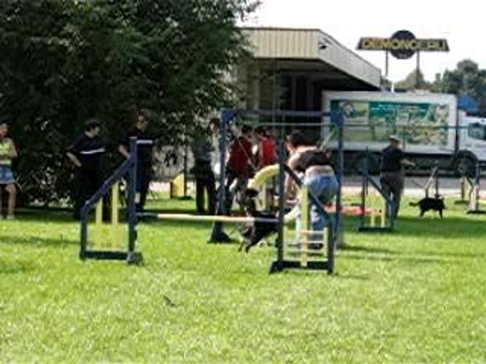 agility 1