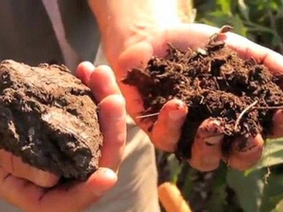 Peter Baldwin: Rapstar Incognito