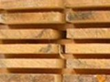Exports pine timber/lumber from Russia to Iran .  صادرات کاج، تخته و الوار / چوب از روسیه به ایران