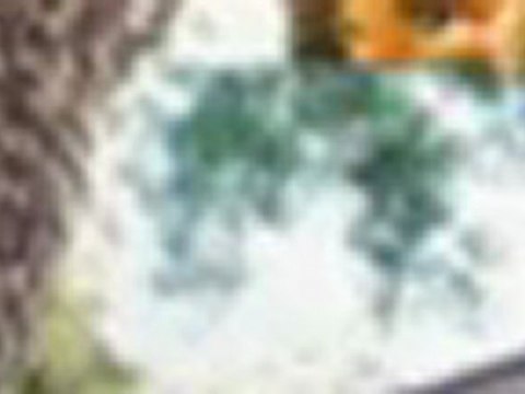 A-Tex Pest Management - (512) 577-4454