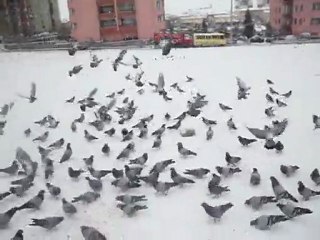 SOĞUK KIŞ GÜNLERİNDE ONLARI UNUTMAYALIM