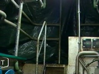 Les animaux aussi subissent le froid (Le Poiré-sur-Vie)