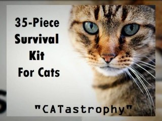 Survival Kits For The Family And The Home