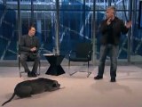 'The Dog Whisperer' Cesar Millan Responds to His Critics