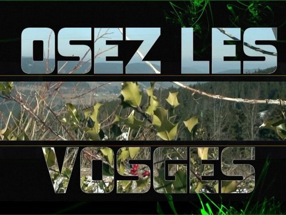 2011 Osez les Vosges
