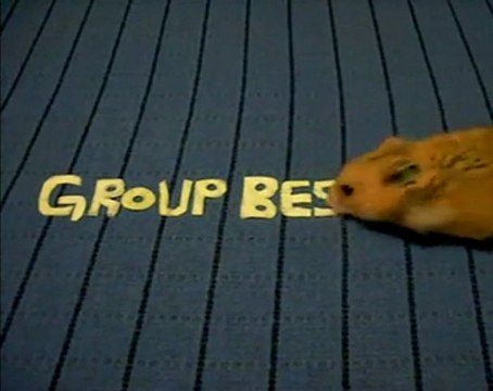 Group Best Deals | Get All Best Daily Deals In ONE Place