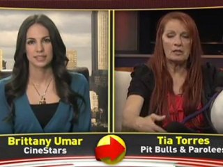 Animal Planet: Pit Bulls & Parolees