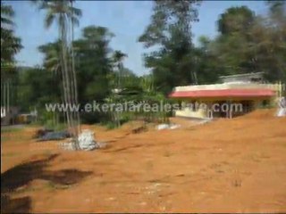 Kollam Real Estate - Land for Sale at Pattazhi Kottarakkara, Kollam