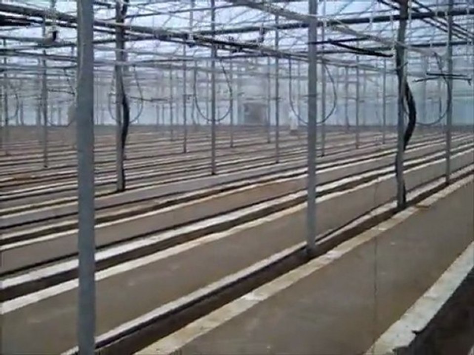 Grow Tomatoes: greenhouse preparation.