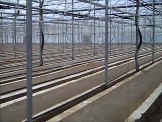 Grow Tomatoes: greenhouse preparation.