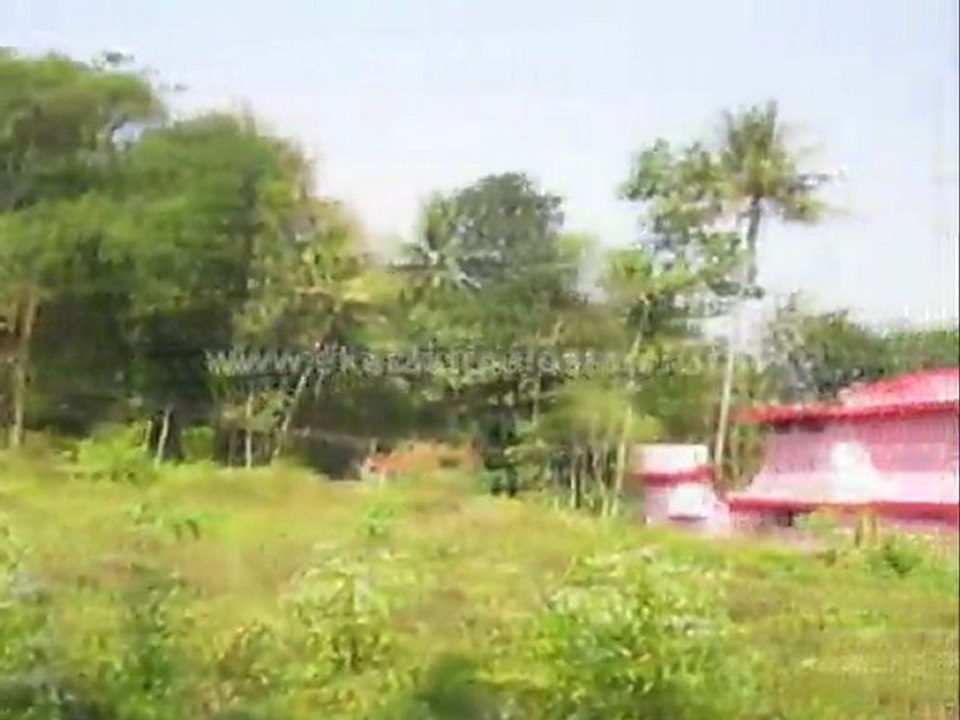 Pathanamthitta Real Estate Classifieds - Land for Sale at Mezhuveli, Pathanamthitta