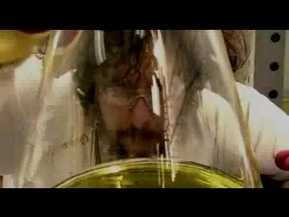 Mononc Serge-requiem pour la marde