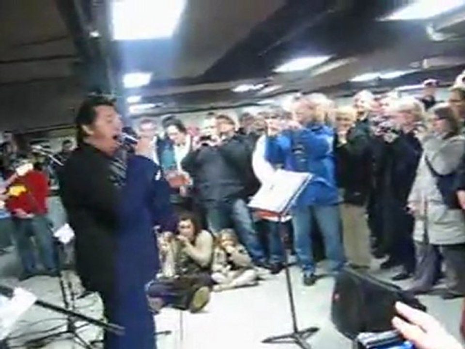 Les Chats sauvages - Par Chris Agullo & Chats du Rock (7)