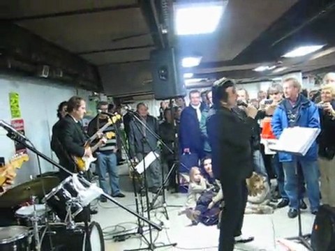 Les Chats sauvages - Par Chris Agullo & Chats du Rock (8)