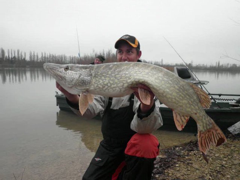 pêche du brochet aux leurres en côte d'or.