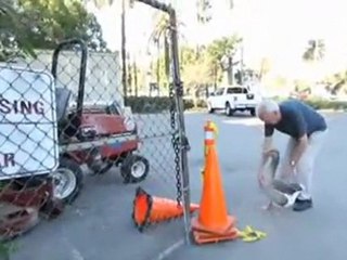 Невероятная история о дружбе