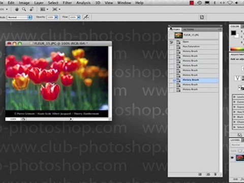 Formation Photoshop 01 par thierry Dambermont - tutorial en francais - Historique (52 min)