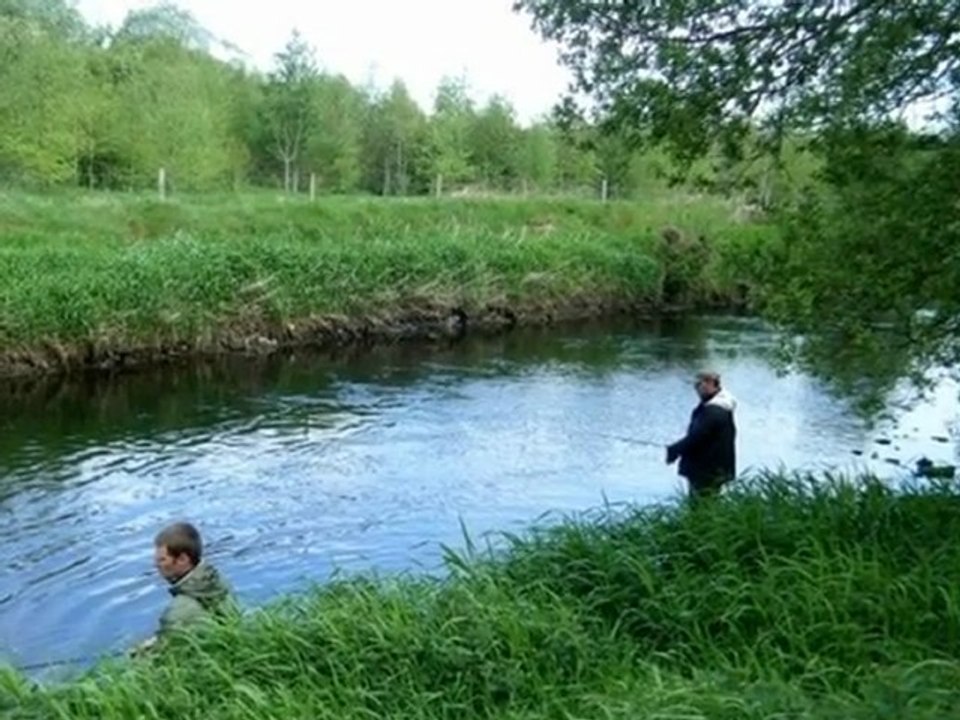 Irlande 2011