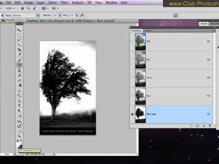 Formation Photoshop 08a par thierry Dambermont - tutorial en francais - Supprimer le fond derrière des objets complexes comme des arbres ou des cheveux (12 min + 28 min + 12 min)