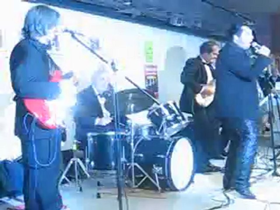 Les Chats sauvages - Par Chris Agullo & Chats du Rock (18)