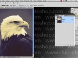 Formation Photoshop 11e par thierry Dambermont - tutorial en francais - Colorisation dimages grises (14 min   10 min)