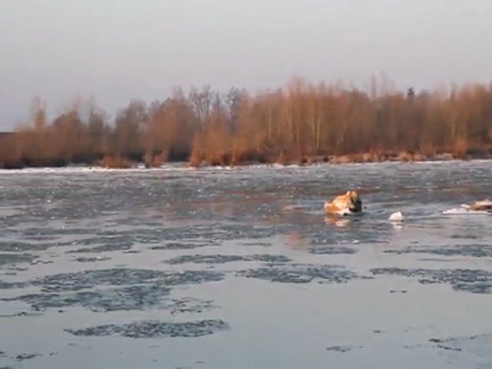 LA LOIRE LE 11 FEVRIER 2012