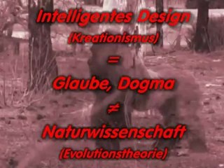 Evolution: Fakten und Beweise - Eine Einführung