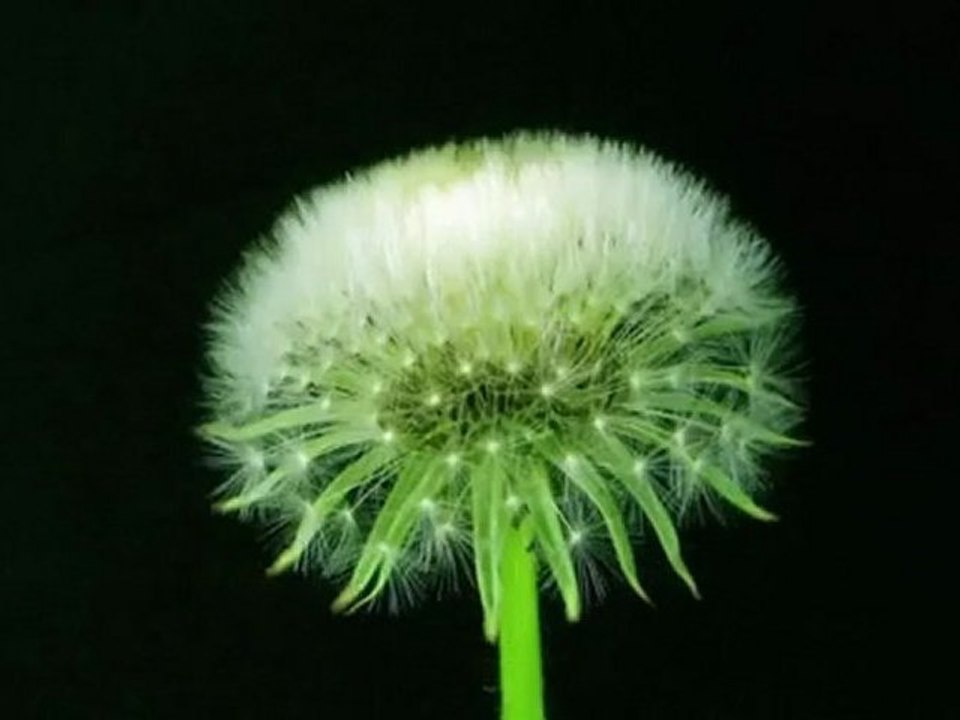 Evolution_ Gutes Design_ schlechtes Design