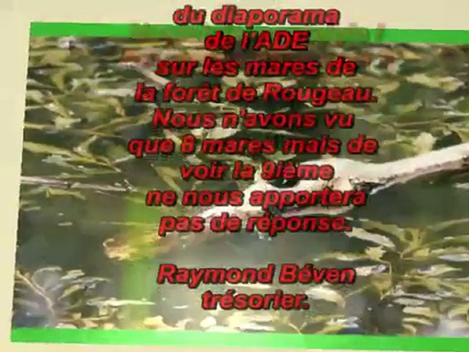 Mares en Forêt de Rougeaux
