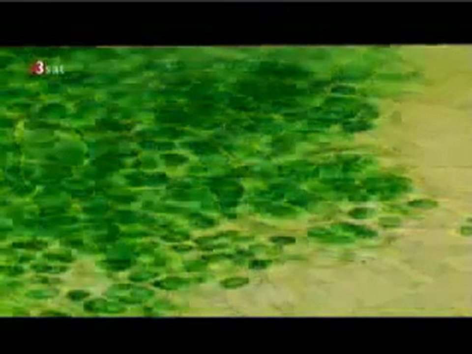 Aus Sternenstaub geboren - Die Erde 4 von 4