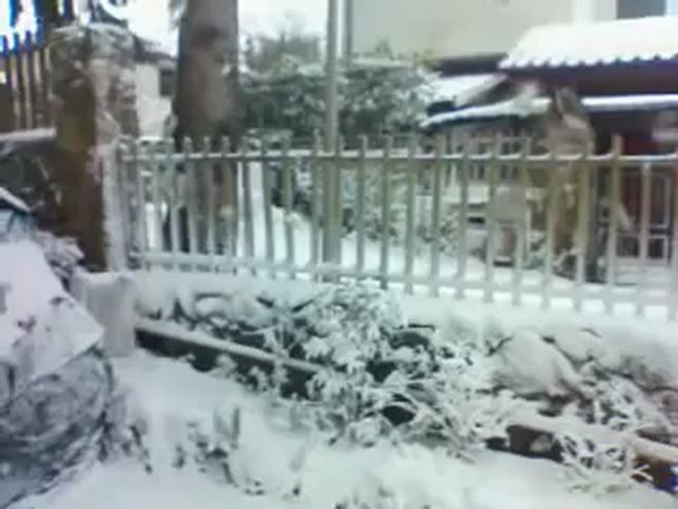 Nemi 10/02/2012