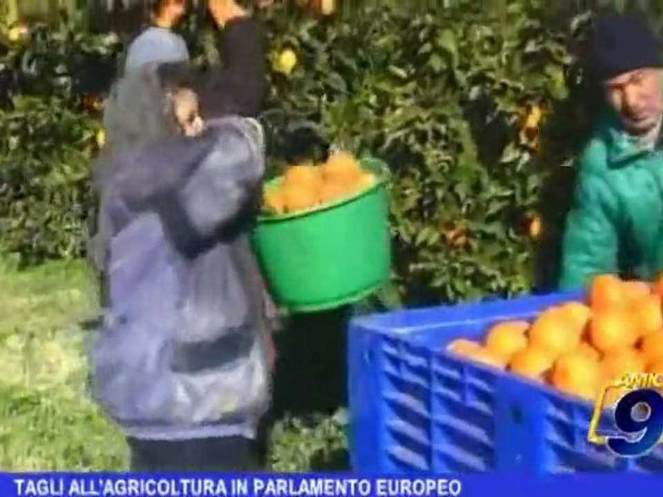 Tagli all'agricoltura in Parlamento Europeo