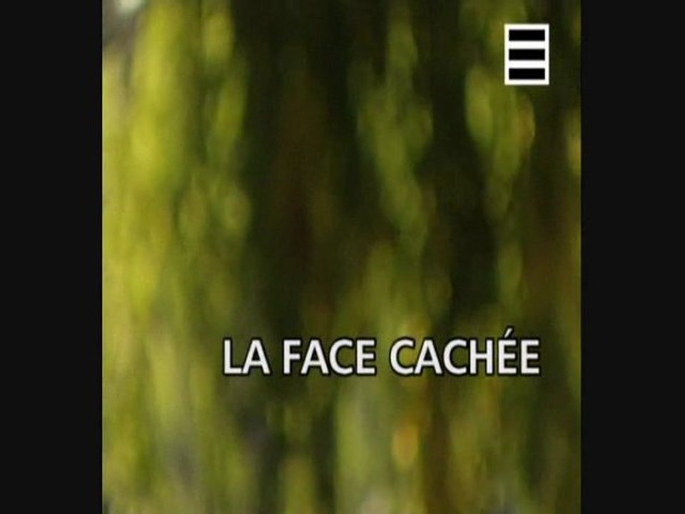 L'univers de stephen Hawking (la face cachée)