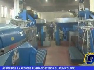Assoproli, la Regione Puglia sostenga gli olivicoltori