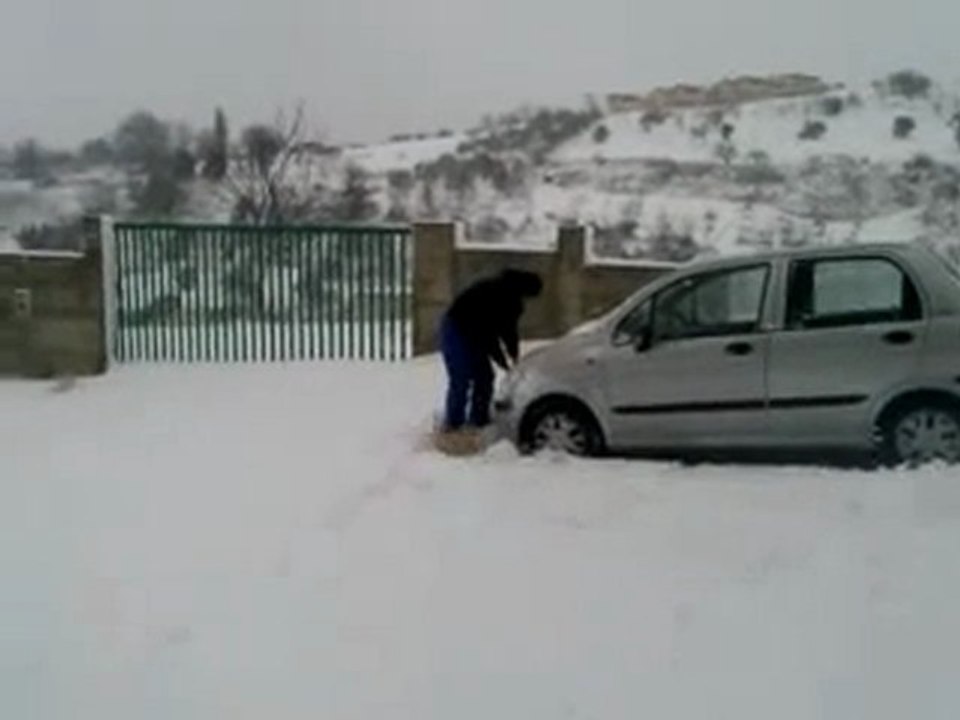 alba 08/02/201