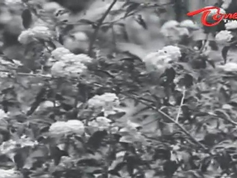 Mangalya Balam Songs | Teliyani Aanandam | ANR | Savitri | Old Songs