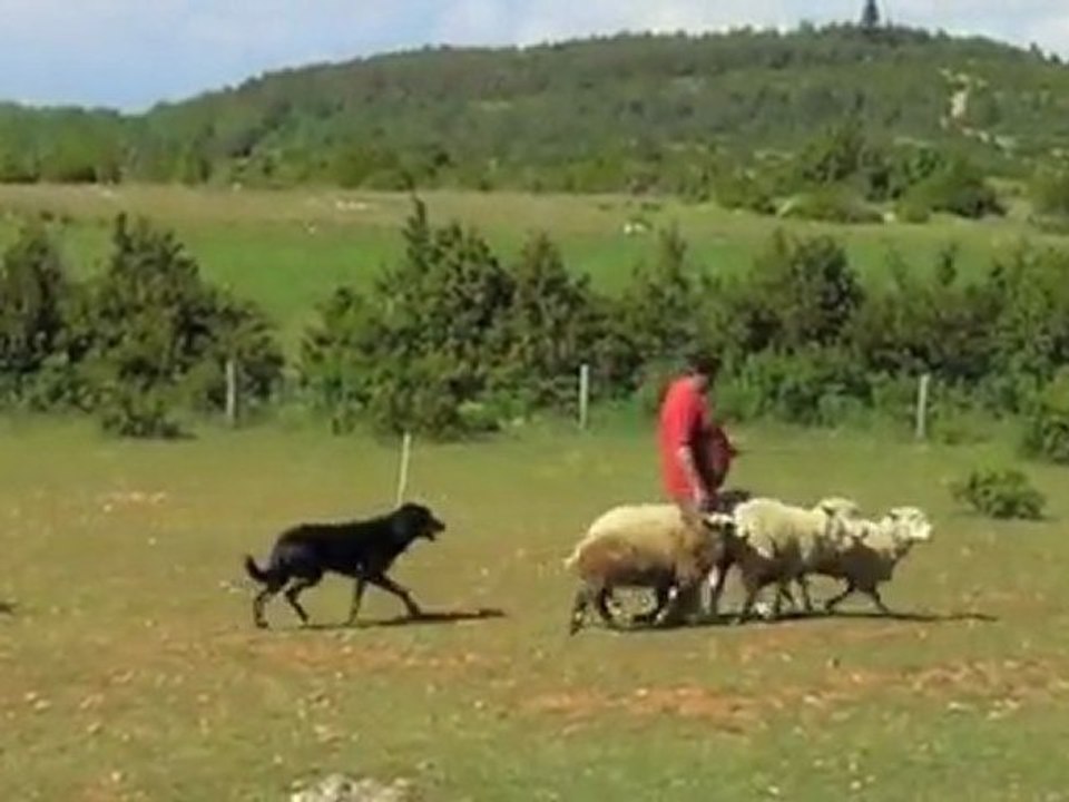 Eragon stage Larzac mai 2011