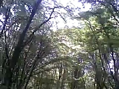 Кадыровские шлюшки получили пизды!