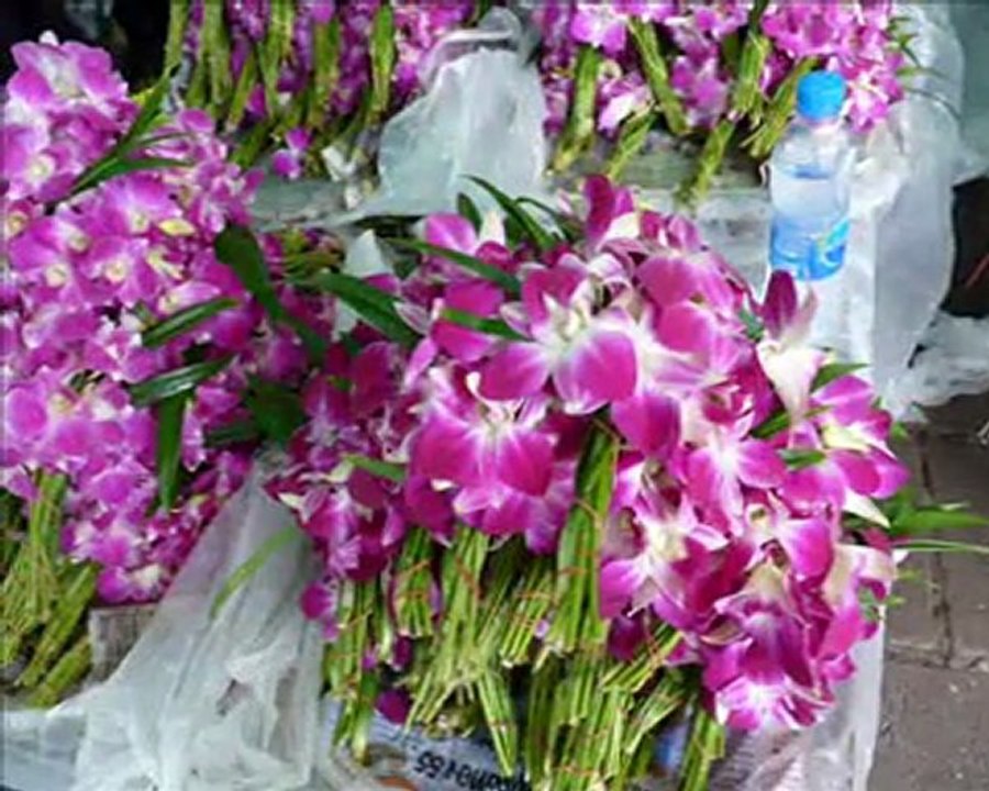 bangkok city