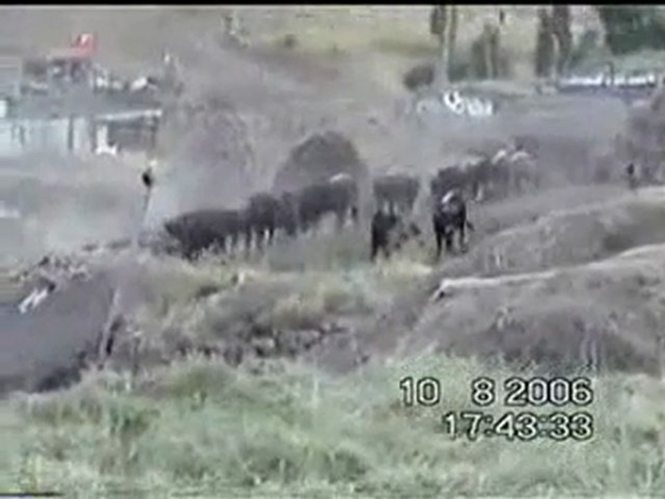 OZAN MEVLÜT İHSANİ-YİĞİTLER