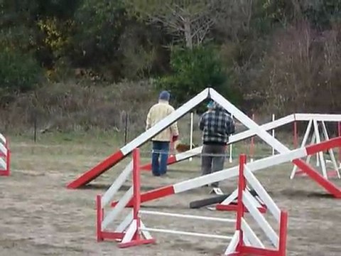 Eiu - GPF Martigues 11-02-2012