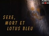 Retour aux pyramides - Sexe, mort et lotus bleu