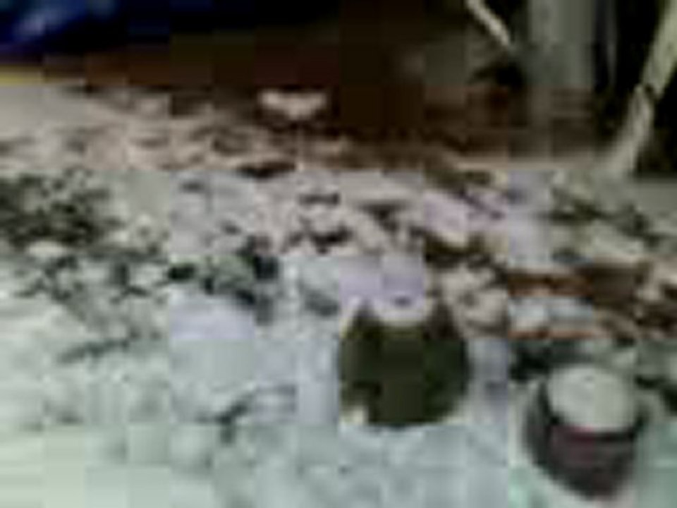 Ma sculpture en neige en vidéo "il s"agit d'un chien coucher.le 05/02/2012