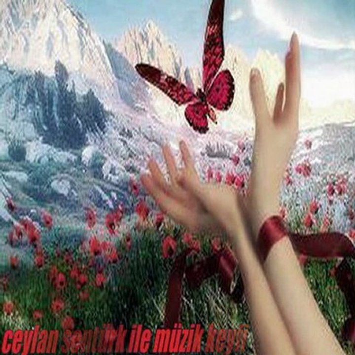 Yaşadıklarımdan Öğrendiğim Bir şey Var