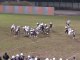 Highlights Dauphins - Black Panthers 2011-2012